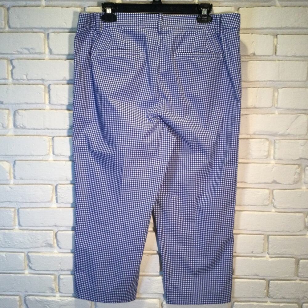 Talbots Perfect Skimmer Blue Gingham 12 - Picture 4 of 8